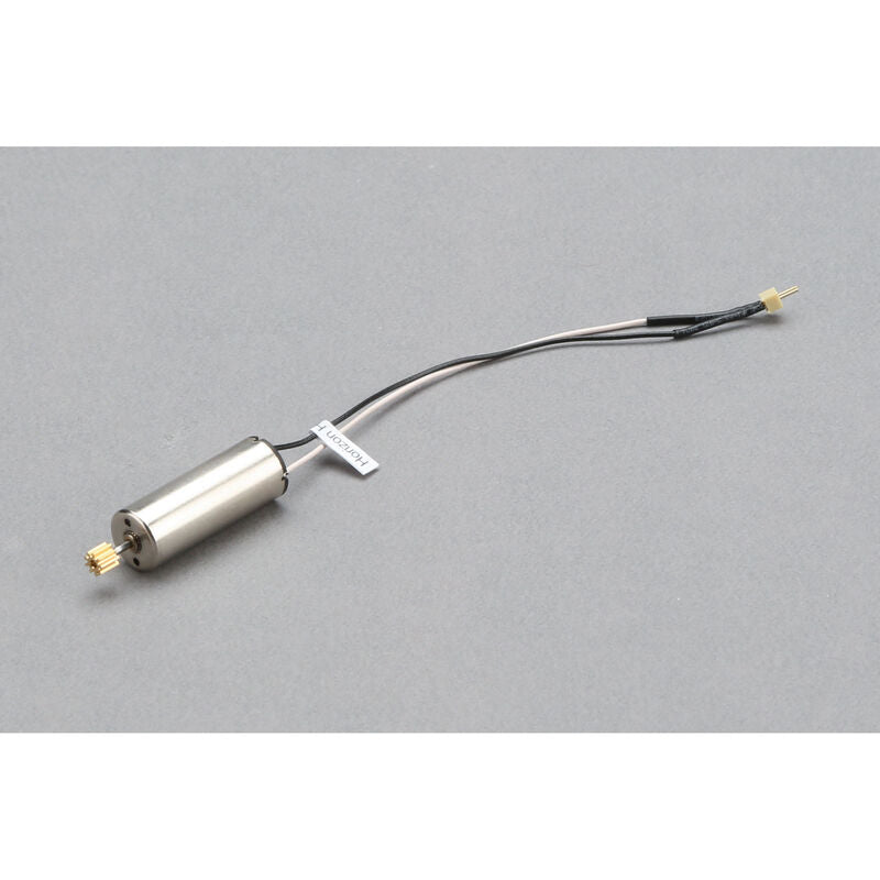 Motor : Sport Cub S