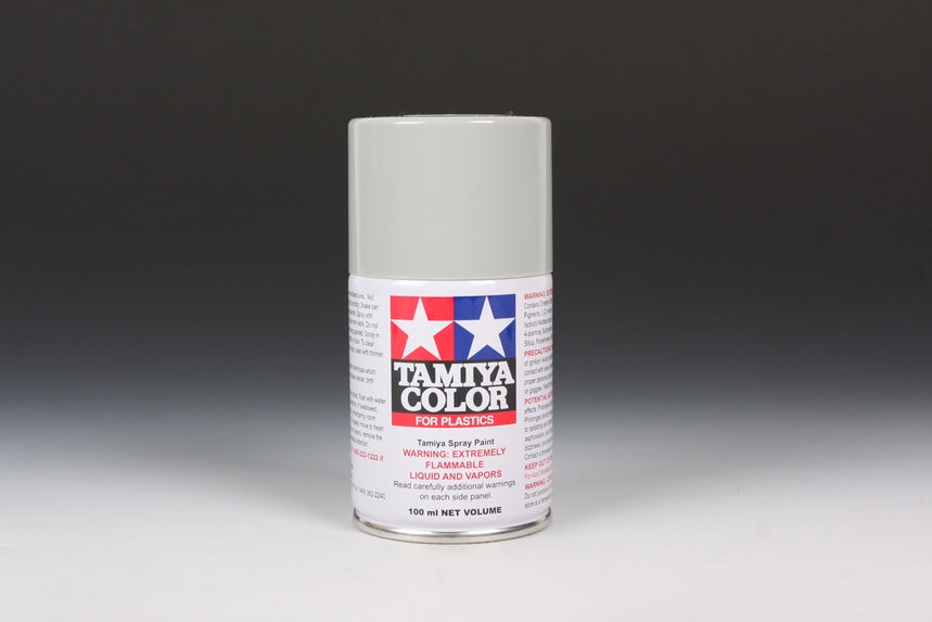 Ts-81 Royal Light Grey 100Ml Spray Can