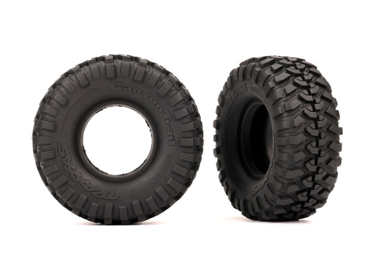 1.0" x 2.2" Canyon Trail Tires (2)