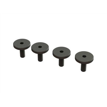 Large Head Screw M3 x 8mm (4)