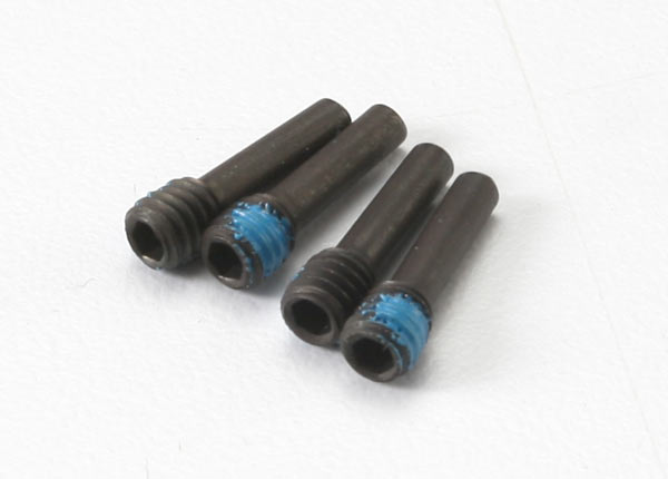 Screw Pins 4x13 mm (4)