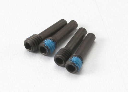 Screw Pins 4x13 mm (4)